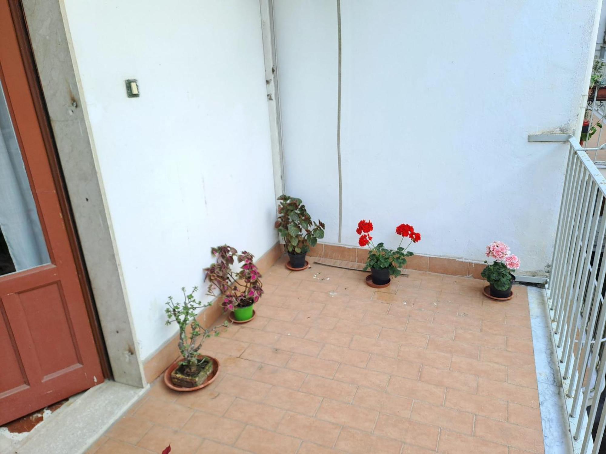 B&B Domus Pina Catánia Buitenkant foto