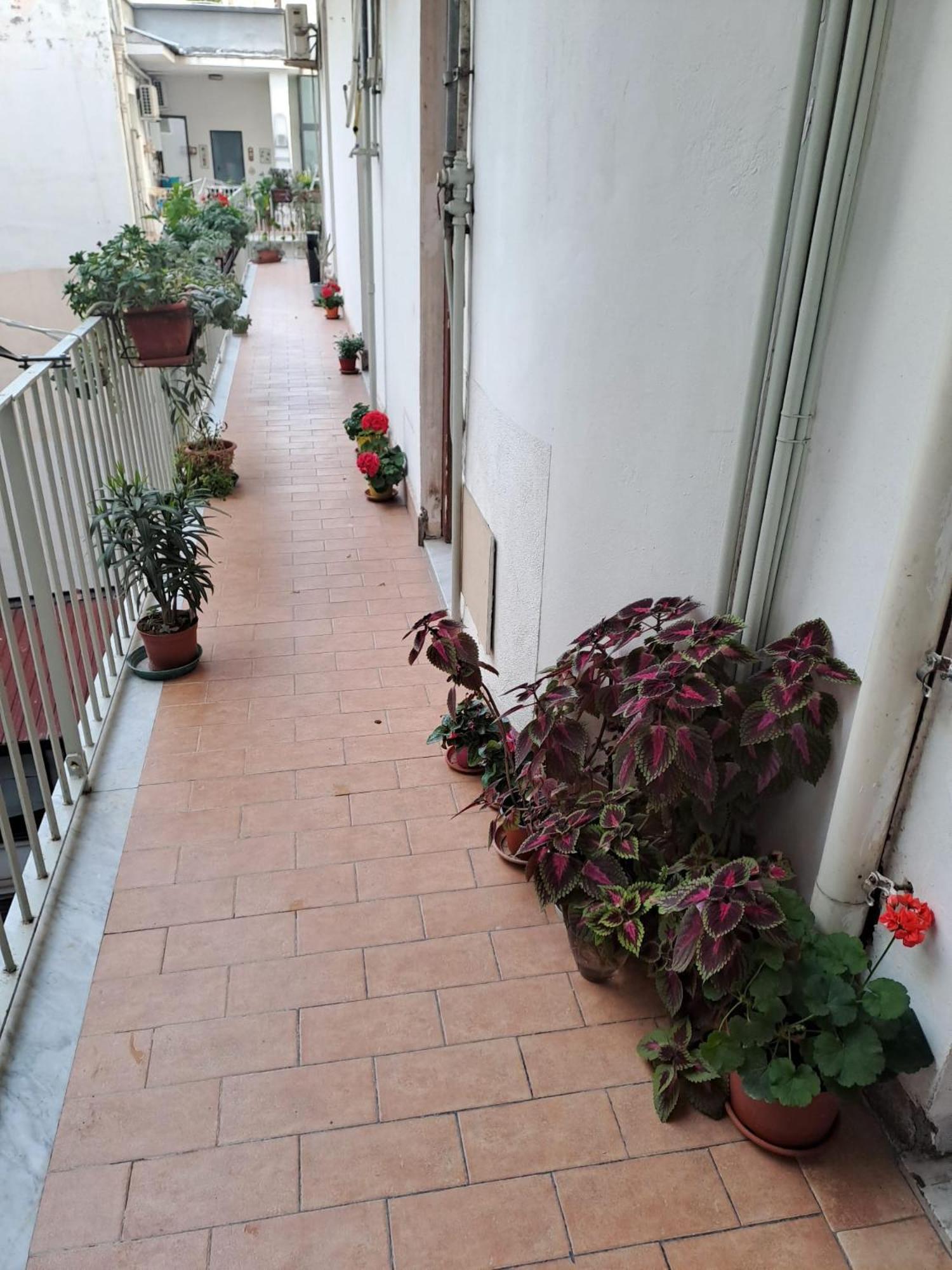 B&B Domus Pina Catánia Buitenkant foto