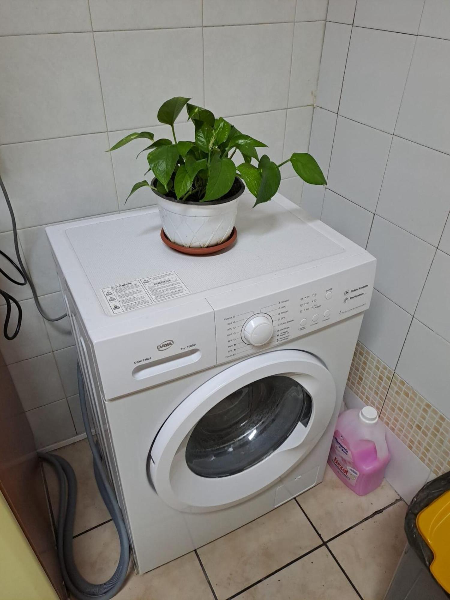 B&B Domus Pina Catánia Buitenkant foto